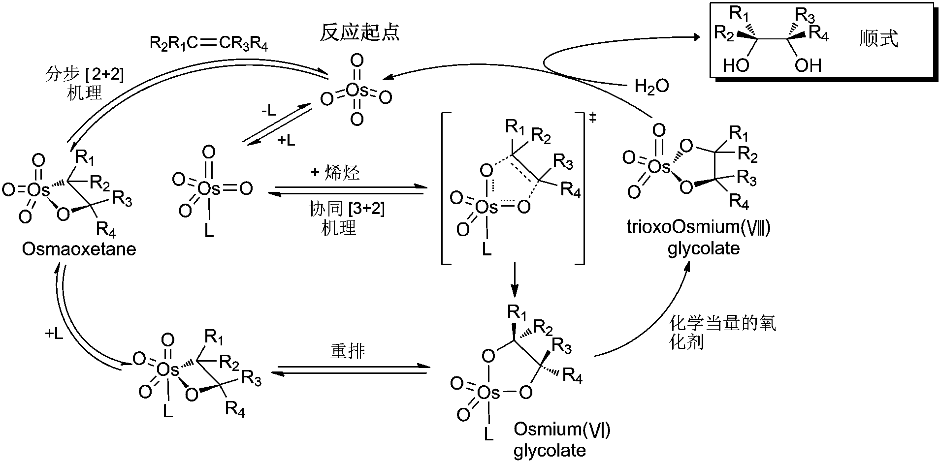 二、SAD反應(yīng)